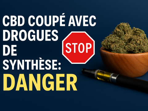 ChatGPT Image 22 août 2025 à 09_41_38