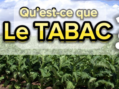 qu'est-ce que le tabac?