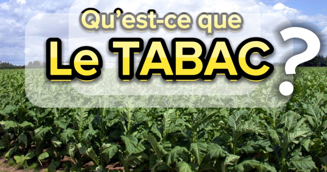qu’est-ce que le tabac? qu'est-ce que le tabac?