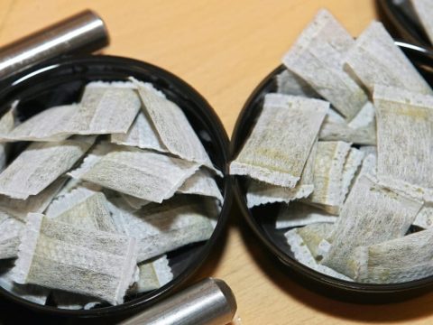 Sachet de nicotine interdit en France