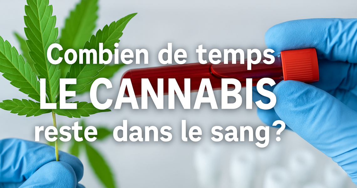 combien de temps le cannabis reste dans le sang? combien de temps le cannabis reste dans le sang?